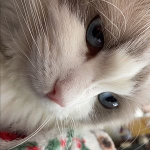 Meet your Posher, Daniel